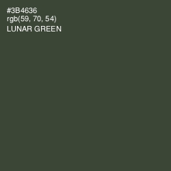 #3B4636 - Lunar Green Color Image